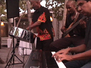 Steel Drum Trio